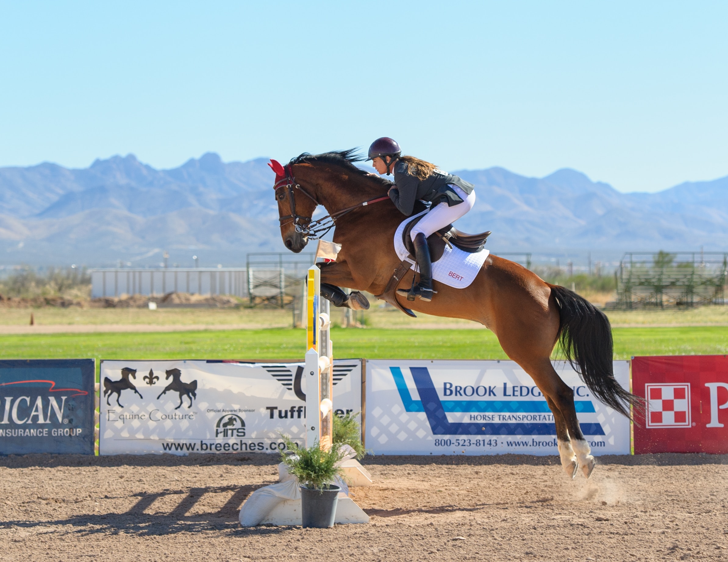 salto cavallo Clinica veterinaria tierklinik meran ippodromo pferdrennenplatz veterinario tierarzt urgenza prontosoccorso notfall notdienst cane hund gatto katze cavallo pferd salto cavallo Clinica veterinaria tierklinik meran ippodromo pferdrennenplatz veterinario tierarzt urgenza prontosoccorso notfall notdienst cane hund gatto katze cavallo pferd